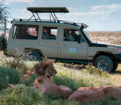 6-Tage-Safari-Serengeti-Pfad-mit-Tarangire-Nationalpark