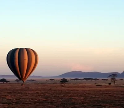 Benson-Safaris-Touren